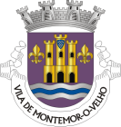 Logotipo-Câmara Municipal de Montemor-o-Velho
